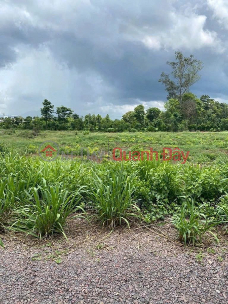 Property Search Vietnam | OneDay | Nhà ở | Niêm yết bán | ( CHÍNH CHỦ ) Cần Bán 1 Công Đất Tại XÃ XUÂN BẢO, HUYỆN CẨM MỸ, TỈNH ĐỒNG NAI