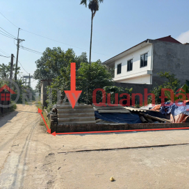Bán gấp đất vàng Kim Hoa, Mê Linh. Lô góc, nằm sát đường Vành Đai 4, đường rộng, oto đỗ _0