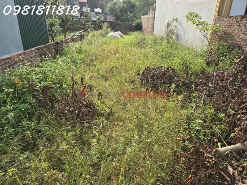 Property Search Vietnam | OneDay | Residential, Sales Listings Land for sale by owner of 182.7m2 house right next to Mai Dinh UBx, Secondary school, Airport, Knc Nc3