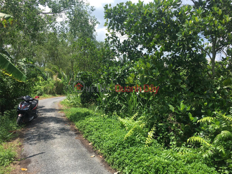 BEAUTIFUL LAND - GOOD PRICE - ORIGINAL SELLING QUICKLY POT FULL RESIDENCE In Mang Thit District, Vinh Long, Vietnam | Sales đ 720 Million