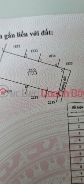 BÁN ĐẤT TẠI ẤP 6, XÃ MỸ QUÝ ĐÔNG, HUYỆN ĐỨC HUỆ, TỈNH LONG AN. Việt Nam, Bán, đ 2,8 tỷ