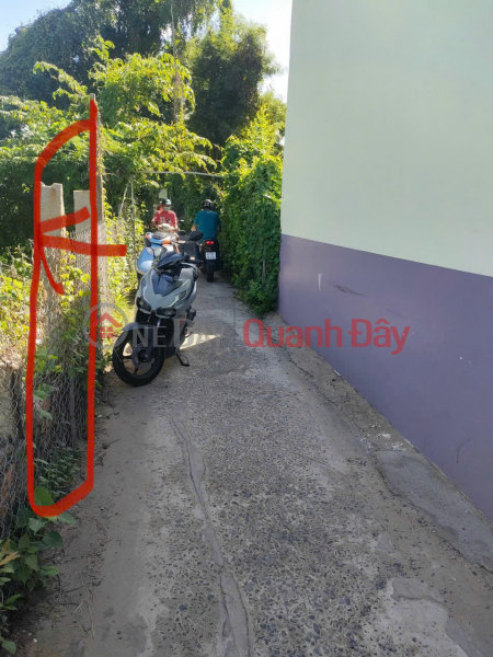 Property Search Vietnam | OneDay | Nhà ở, Niêm yết bán | Chính Chủ Bán Đất 2 Mặt Tiền Vườn Cây Lâu Năm Tại Phường Châu Phú B, TP Châu Đốc, An Giang.
