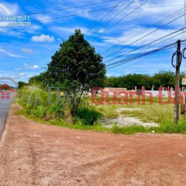 Chia Tai Asset needs to sell urgently 2210m2 Tho Cu land lot, next to the industrial park, near the market, convenient for business. Price 300 CHILD _0