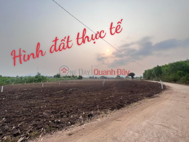 Property Search Vietnam | OneDay | | Niêm yết bán Bán gấp lô đất nằm ngay trung tâm cho anh trai