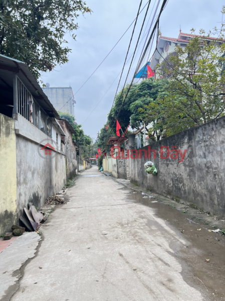 Property Search Vietnam | OneDay | Residential, Sales Listings | 262m2 in Long Chau-Phung Chau, the price is as cheap as a parking lot, and the lot is divided into separate plots comfortably.