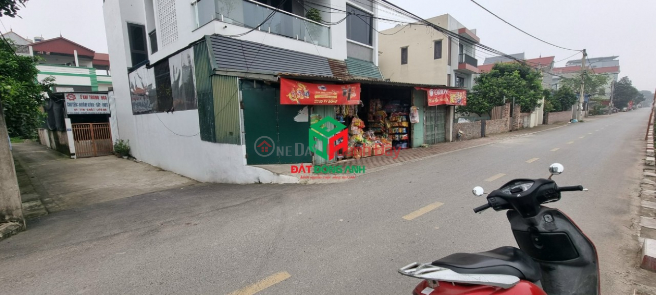 Property Search Vietnam | OneDay | Residential Sales Listings, Selling land in Tien Duong commune, Dong Anh district for a little over 2 billion in car alley