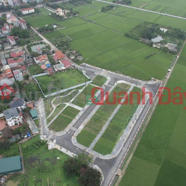 Ha Phong Lien Ha Auction Land. Two adjacent cells with 12m frontage. Price 2x elementary school. Contact 0384952789 _0