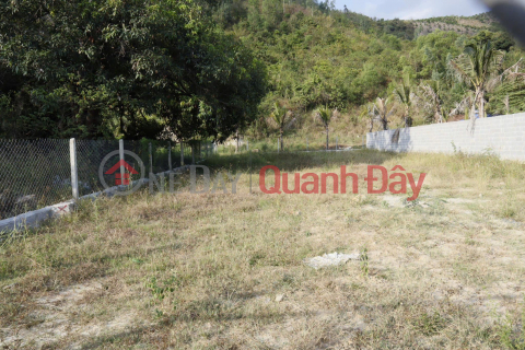 HUGE DISCOUNT – LAND FRONTAGE ON PROVINCIAL ROAD 3, CAM LAM – SUPER ATTRACTIVE PRICE ONLY 2.85 BILLION! _0