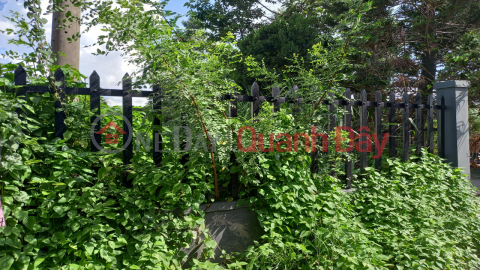 Land for sale in Ha Huy Giap, T.Loc Ward, District 12, 6 adjacent lots, Bypass road, price reduced to 10.35 billion _0