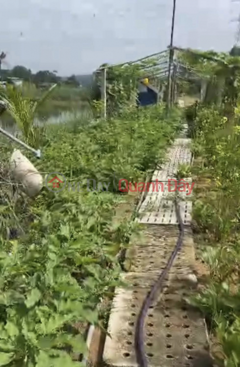 I need to sell land in Bac Son Trang Bom that can be used for business near Song May Industrial Park _0
