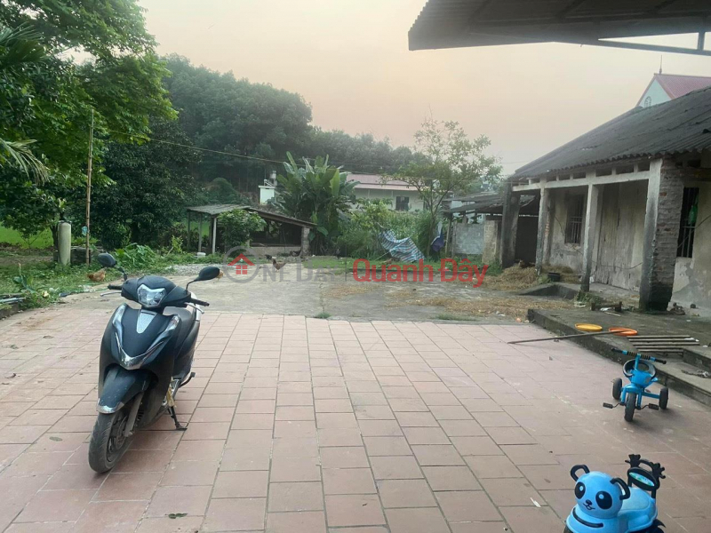 Property Search Vietnam | OneDay | Residential, Sales Listings | EXTREMELY RARE: 2400M 400TC HAS A HOUSE ON LAND in Tan Khanh Phu Binh District Thai Nguyen Price is 900 million