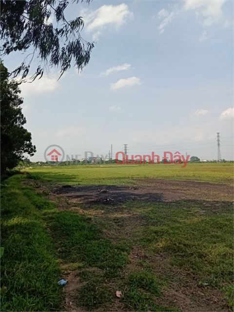 For sale 3ha of commercial and service land for 50 years at Gia Lam street, Gia Lam district, PT Hanoi _0