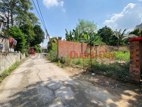 Cheap and beautiful land for sale in Hiep Hoa Ward, 110m2, 5m wide road, near Aeon Mall, only 3.8 billion _0