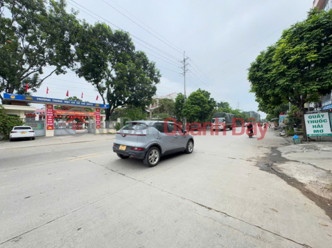 1.5-storey house for sale in Chi Dong 1 village, Quang Minh commune. Near Woodsland wood company - Quang Minh Industrial Park _0