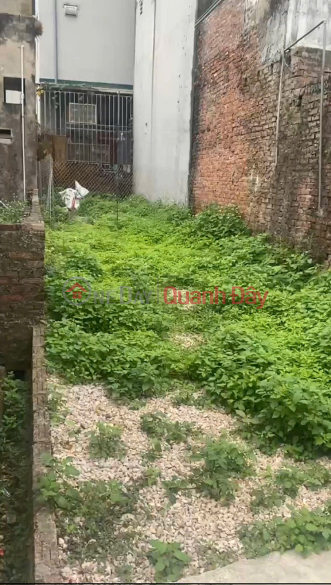RARE GOODS, ONLY A LITTLE MORE THAN A BILLION VND TO OWN A LOT OF 59.5 METERS OF LAND IN THUONG VUC-CHUONG MY-HANOI _0