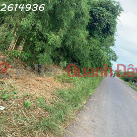 Bán đất đường Lò Rèn, Long Hòa, 24tỷ, 8000m2 view đẹp Hot! _0