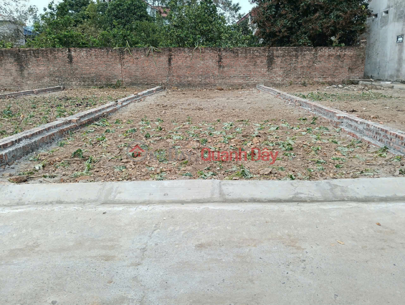 Property Search Vietnam | OneDay | Nhà ở, Niêm yết bán, Bán đất thôn Xuân Lễ, Tân Dân, Sóc Sơn. Đường thông, oto tránh. Gần cao tốc Hà Nội Lào Cai