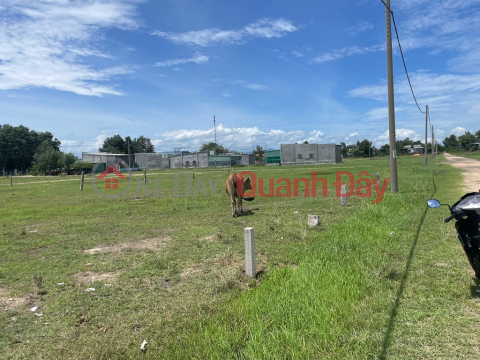 FOR SALE Land Lot Prime Location At Highway 28B, Song Binh Commune, Bac Binh, Binh Thuan _0