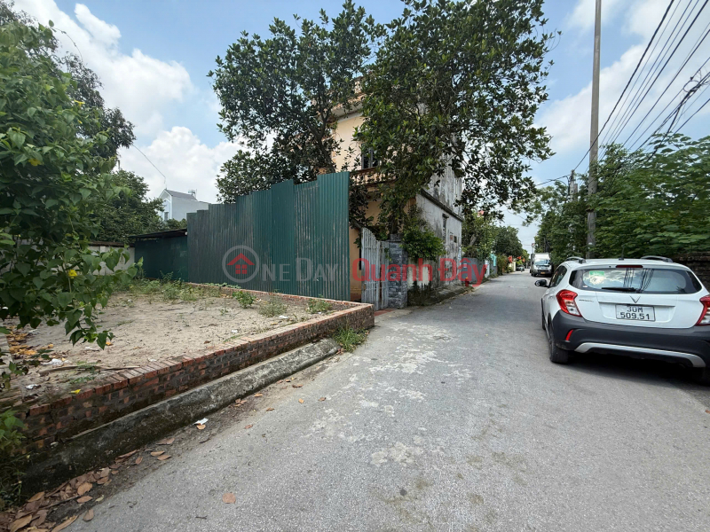 Land for sale in Co Duong, Tien Duong - Car access - Main road - Beautiful plot Sales Listings