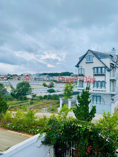 FOR RENT LUXURY VILLA IN DA LAT, LAM VIEN - PINE VIEW, CAGE HOUSE, ELEVATOR, 45-SEAT CAR - 30 MILLION\/MONTH _0
