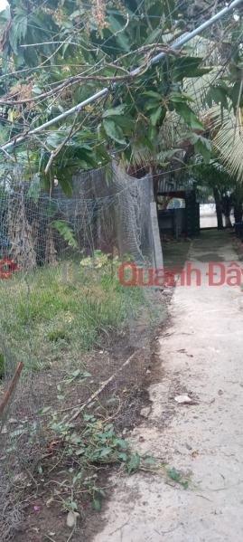 ₫ 750 Million | OWNER NEEDS TO SELL LAND LOT QUICKLY In Vinh Hoa Phu Commune, Chau Thanh District, Kien Giang