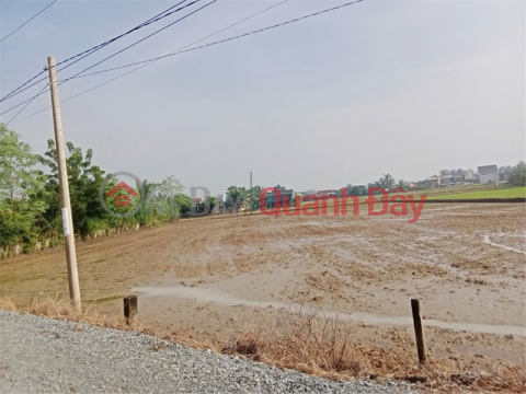 Residential Land for Sale 200m2 for ONLY 1.4 billion in Tan Lan Commune, Can Duoc District, Long An. _0