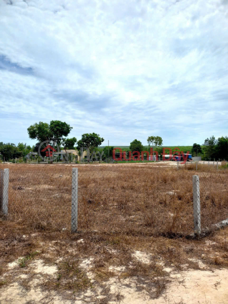 Property Search Vietnam | OneDay | Residential Sales Listings, BEAUTIFUL LAND - GOOD PRICE - OWNER NEEDS TO SELL 2 LOTS OF LAND IN TAN BINH COMMUNE AND PHUOC TIEN COMMUNE - La Gi Town