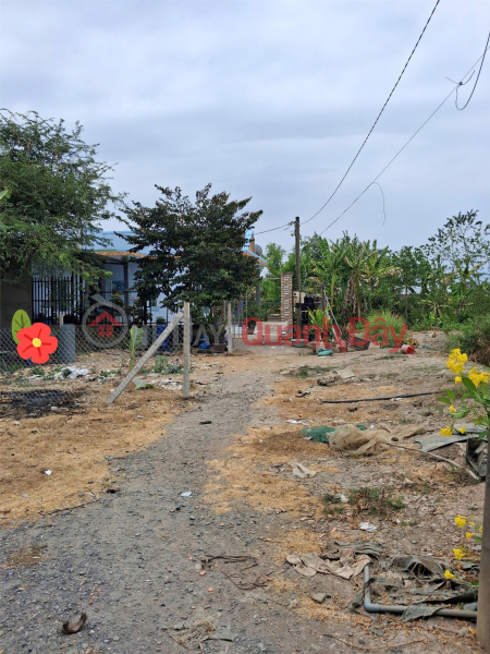 Property Search Vietnam | OneDay | Residential, Sales Listings, PRIME LOCATION LAND PLOT - GOOD PRICE - QUICK SALE OF POTENTIAL LAND PLOT IN BINH CHANH DISTRICT, HO CHI MINH CITY
