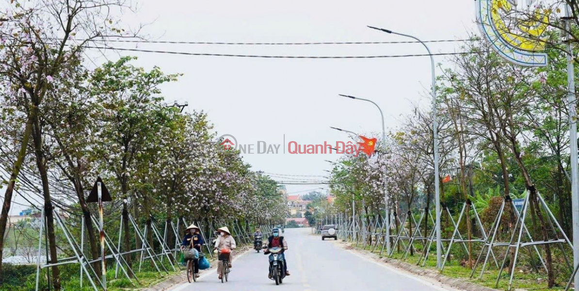 Land for sale in Yen My commune, Thanh Tri, Hanoi. Yen My Hot Ecotourism Village Sales Listings