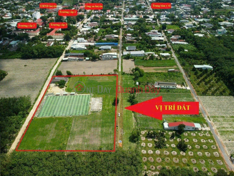 EXTREMELY SHOCKING PRICE Area 5x50 Lot 12 Nguyen Minh Chau, Tan Chau Town - Tay Ninh, Vietnam | Sales | đ 990 Million
