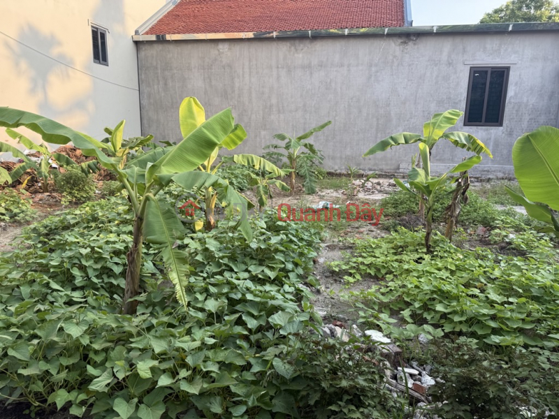 ĐẤT NỀN NINH XÁ - GẦN KCN THUẬN THÀNH - GIÁ ĐẦU TƯ CỰC TỐT - SINH LỜI CAO! Niêm yết bán