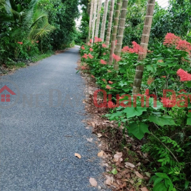 BEAUTIFUL LAND - GOOD PRICE - Garden Owner Needs To Sell Fast 5 Canal Garden 1\/5 My Tan Commune, Cai Be, Tien Giang _0