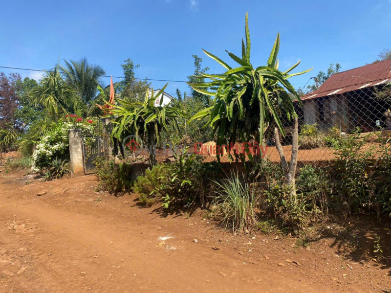 Property Search Vietnam | OneDay | Residential | Sales Listings | OWNER LAND - Good price - Good location in Krong Nang, Dak Lak