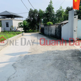 The owner sold the land in Son Dong, Son Tay, Hanoi for only 10 million\/m2 _0