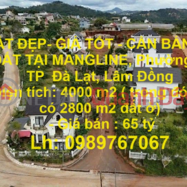 BEAUTIFUL LAND - GOOD PRICE - LAND FOR SALE AT MANGLIN, Ward 7, Da Lat City, Lam Dong _0