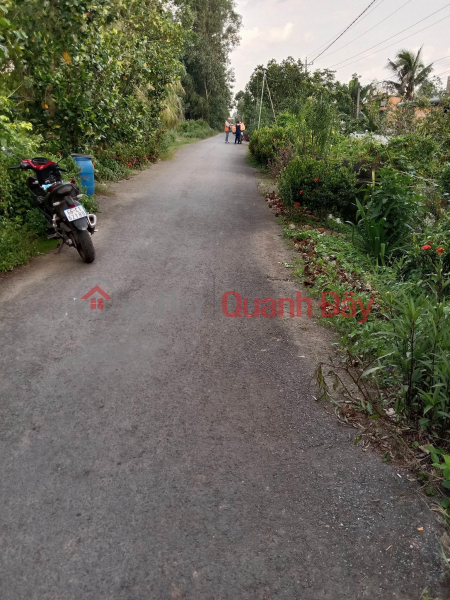 BEAUTIFUL LAND - GOOD PRICE - Urgent Sale Land Lot Beautiful Front In Tan Phu Commune, Chau Thanh District, Dong Thap, Vietnam Sales đ 980 Million