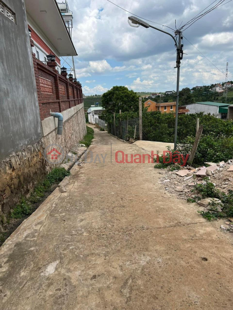 BEAUTIFUL LAND - GOOD PRICE - For Quick Sale Land Lot Prime Location In Di Linh, Lam Dong _0