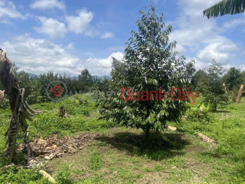 Beautiful Land - Good Price - Owner Needs to Sell Land Lot in Village 5-7 - Loc Thanh Commune - Bao Lam District - Lam Dong Province _0