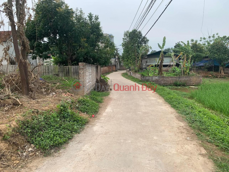 Property Search Vietnam | OneDay | Residential | Sales Listings | Land plot for sale in Cao Minh, Phuc Yen, Vinh Phuc