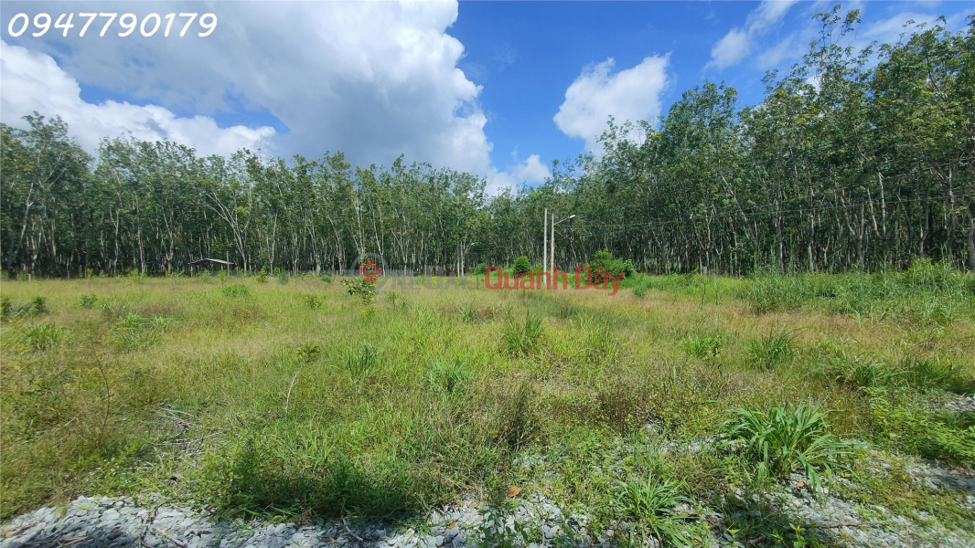 Land with 2 Fronts 18m x 28m - Attractive Investment Opportunity | Vietnam Sales, đ 5.8 Billion