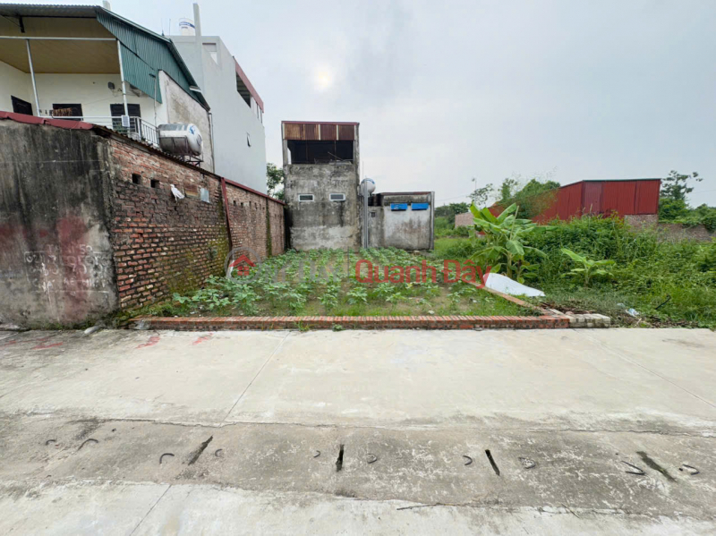 Beautiful land for sale in Ap Tre village, (Group 9) - Quang Minh commune, Hanoi city. Near industrial park, CD school Sales Listings