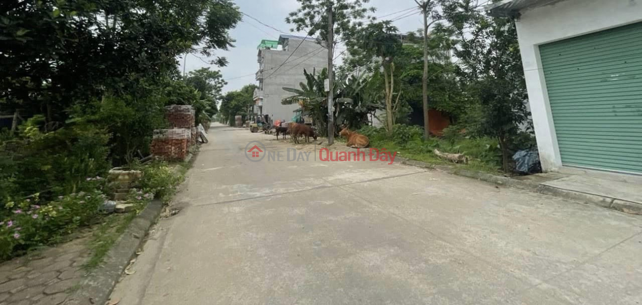 Cc gửi bán lô 51.43m2, 3.x tỷ, ô tô tránh, kinh doanh, An Thắng Biên Giang Hà Đông. | Việt Nam, Bán | đ 3,5 tỷ
