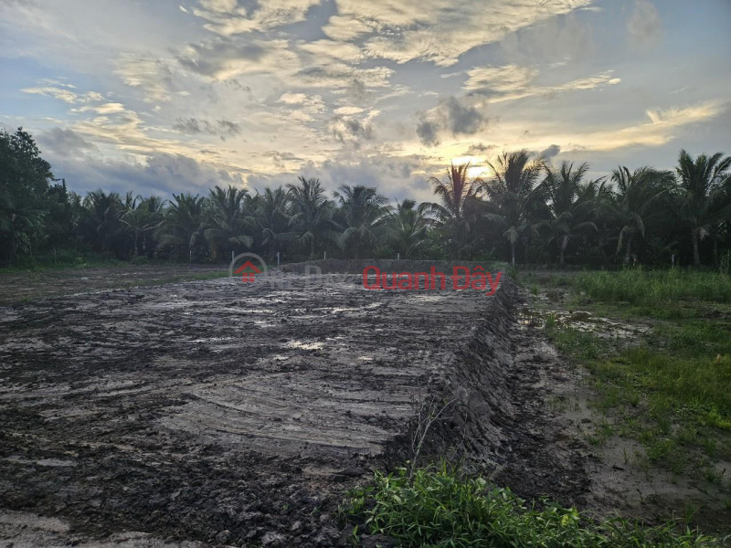 đ 690 Million OWNER'S LAND Need to Sell Quickly Land Lot in Thoi Hoa Commune, Tra On District, Vinh Long Province