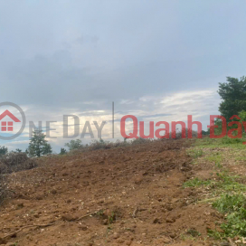 Chính chủ bán đất Bắc Sơn, Đắk Mil, Lâm Đồng - 2,75ha, cách QL14 chỉ 400m, có hồ 2.000m3 _0