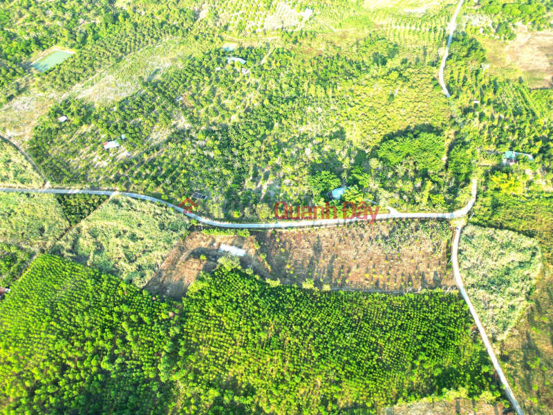 đ 850 Million Selling 2 lots of land in prime location of Khanh Nam-Khanh Vinh! Price from 850 million.