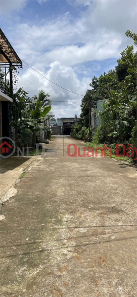 OWNER NEEDS TO SELL WAREHOUSE at Alley 206 Le Thanh Ton Street, Dien Hong Ward (formerly Ia Kring Ward),Pleiku City, Gia Lai Province Sales Listings
