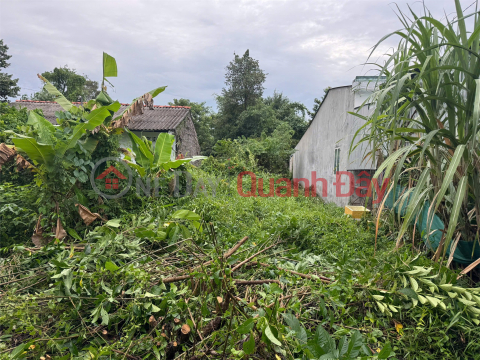 ĐẤT ĐẸP - GIÁ TỐT - Chính Chủ Bán Lô Đất Tại Đường Quốc lộ 54, xã Châu Thành, Vĩnh Long _0