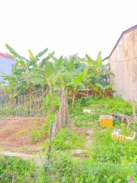 GIÁ 2,0XX TỶ – LÔ ĐẤT NGÕ 199 TÂN THÀNH, 100M² VUÔNG VẮN, MỨC GIÁ THAM KHẢO TỐT ZALO 0567 222 555, Việt Nam, Bán đ 2,05 tỷ