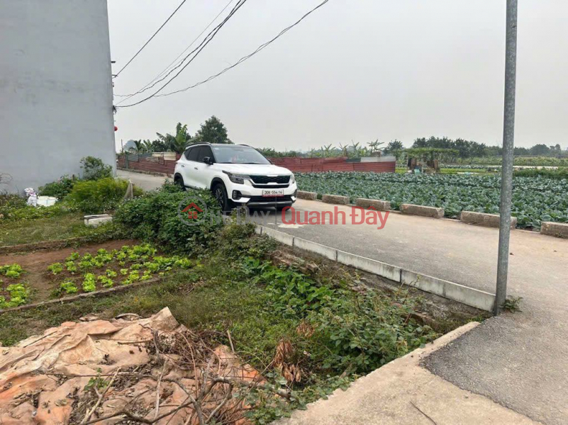 BÁN 44 M2 ĐẤT KIM HỒ – THUẬN AN, GIA LÂM – Ô TÔ ĐỖ CỬA – ĐƯỜNG THÔNG – GIÁ NHỈNH 3 TỶ Việt Nam Bán đ 3,25 tỷ