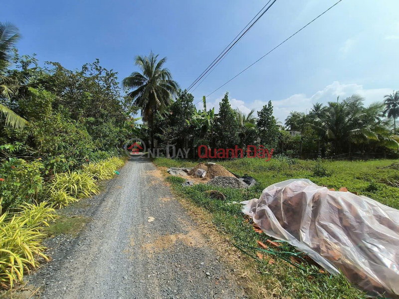 CHÍNH CHỦ Cần Bán Nhanh Đất Tại 681, Đường Ấp Ninh Quới, Xã Long Bình, Gò Công Tây, Tiền Giang Việt Nam Bán | đ 280 triệu